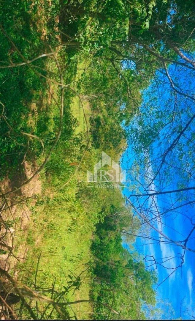 Terreno, 10000 m² - Foto 5