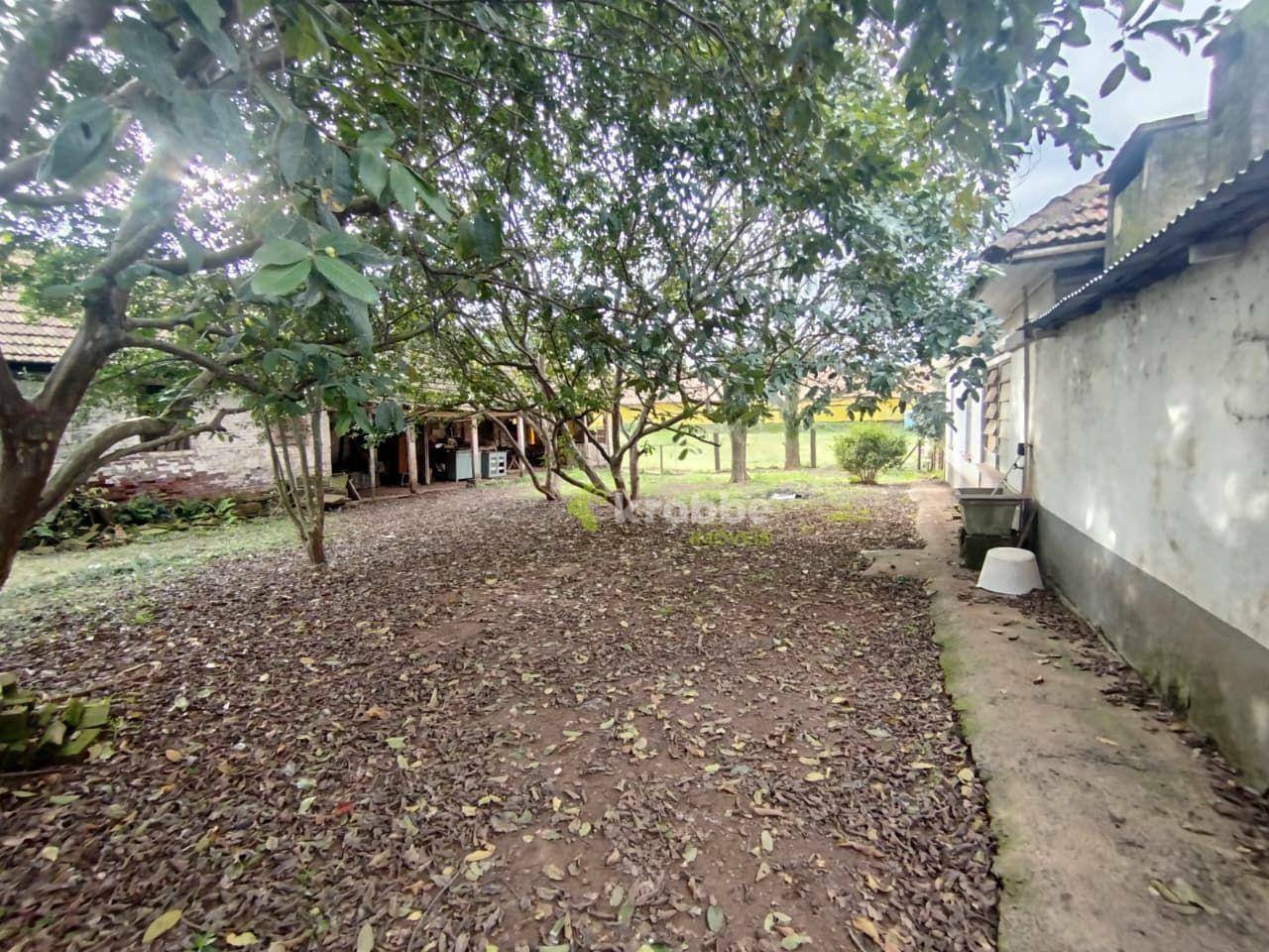 Chácara para alugar com 4 quartos, 10000M2 - Foto 20