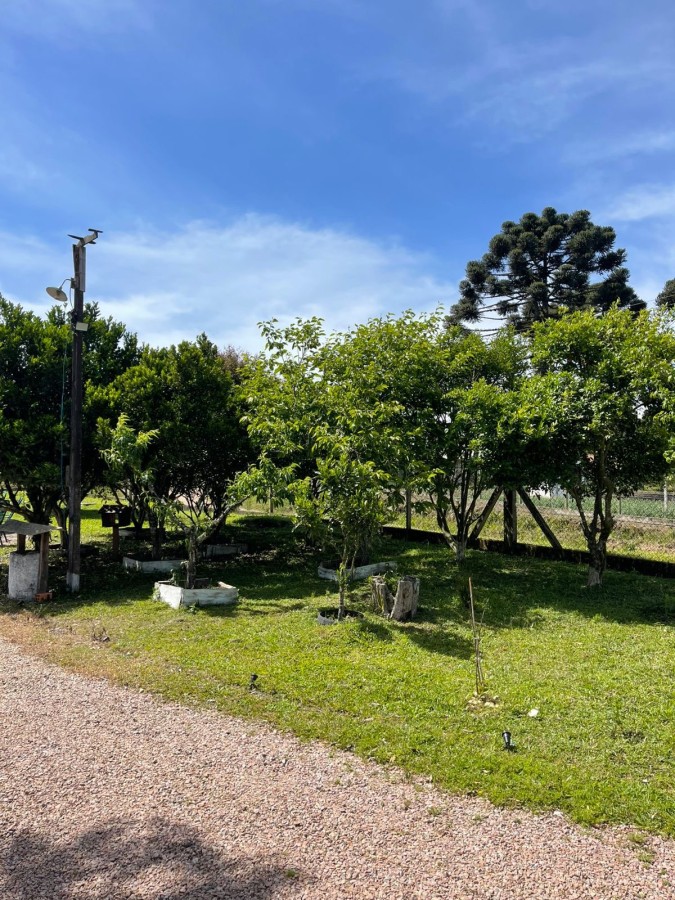 Chácara, 10000 m² - Foto 2