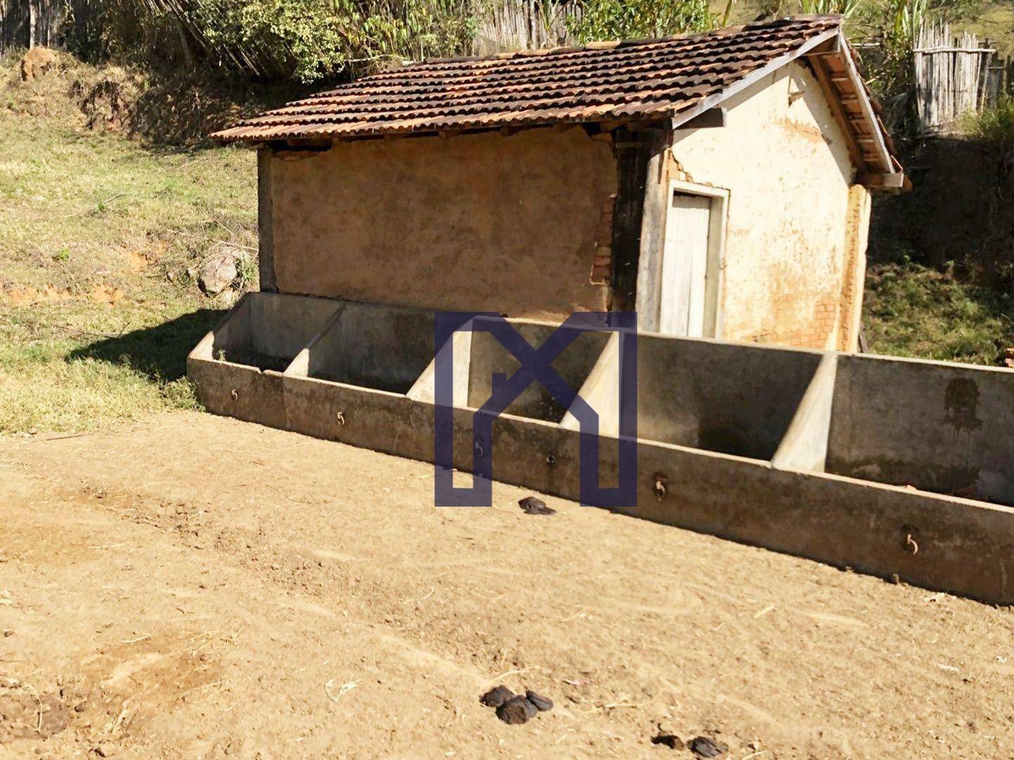 Sítio à venda com 2 quartos, 417500M2 - Foto 4