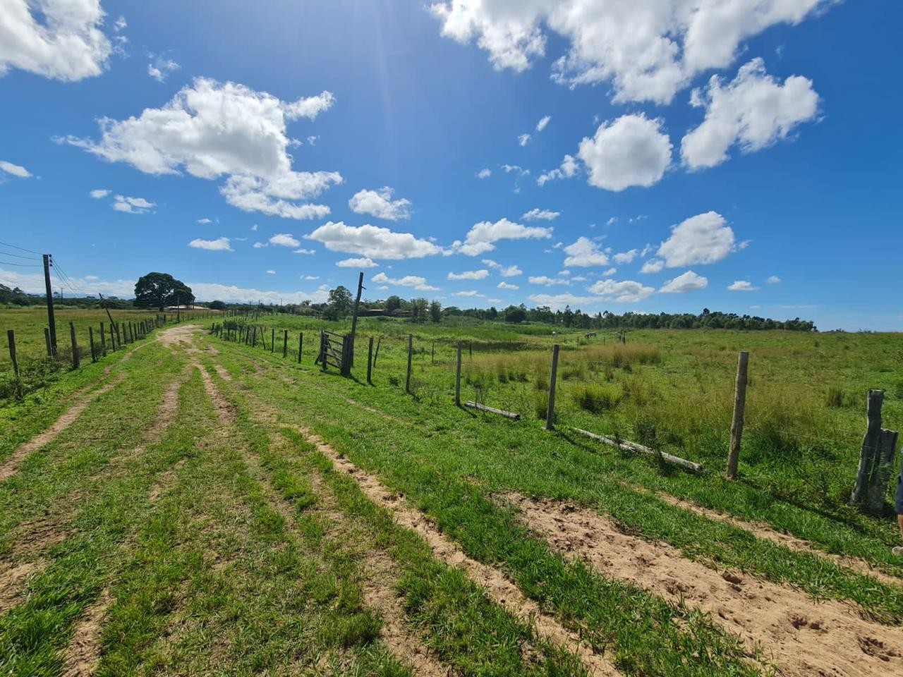 Fazenda à venda, 48400m² - Foto 49