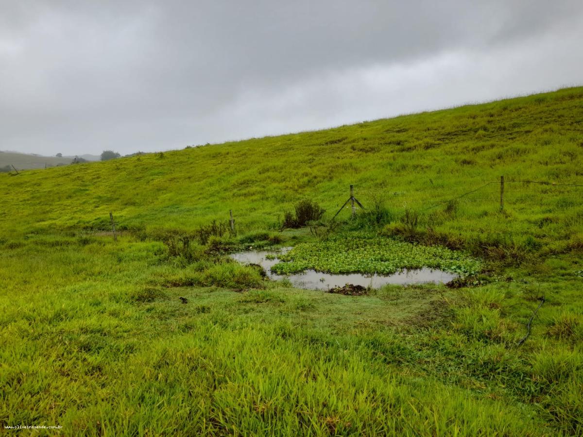 Fazenda à venda com 2 quartos, 61000m² - Foto 17