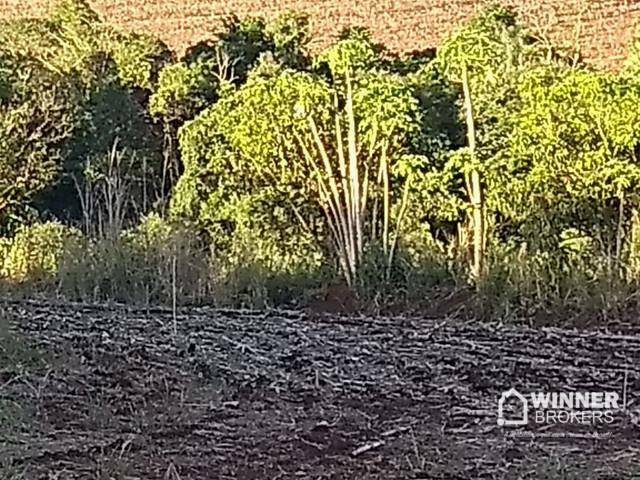 Chácara à venda com 1 quarto, 30500M2 - Foto 3