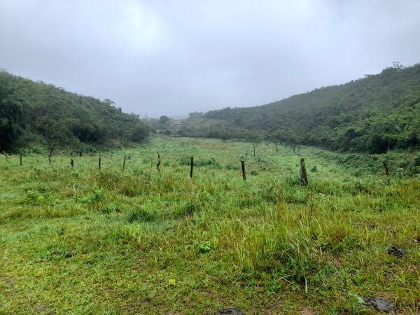 Fazenda à venda com 2 quartos, 17m² - Foto 6