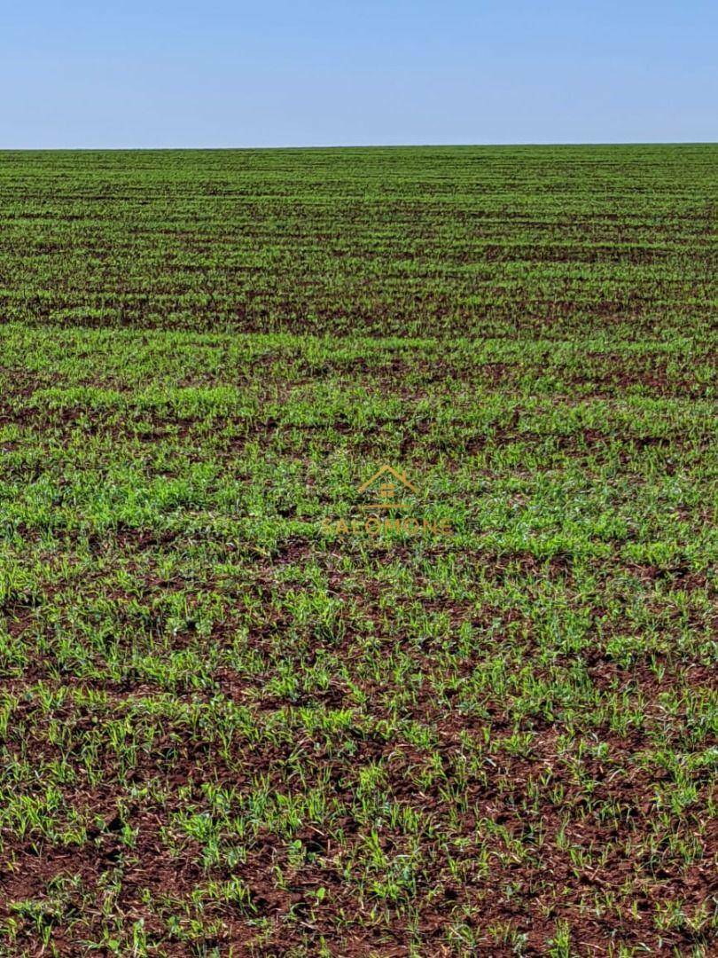 Fazenda, 21800 hectares - Foto 2