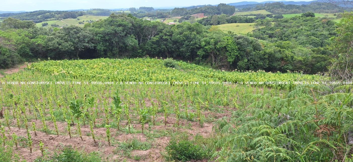Loteamento e Condomínio à venda, 125000m² - Foto 16