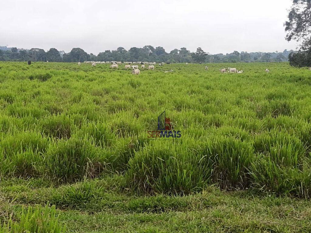 Fazenda à venda com 1 quarto, 31944000M2 - Foto 10