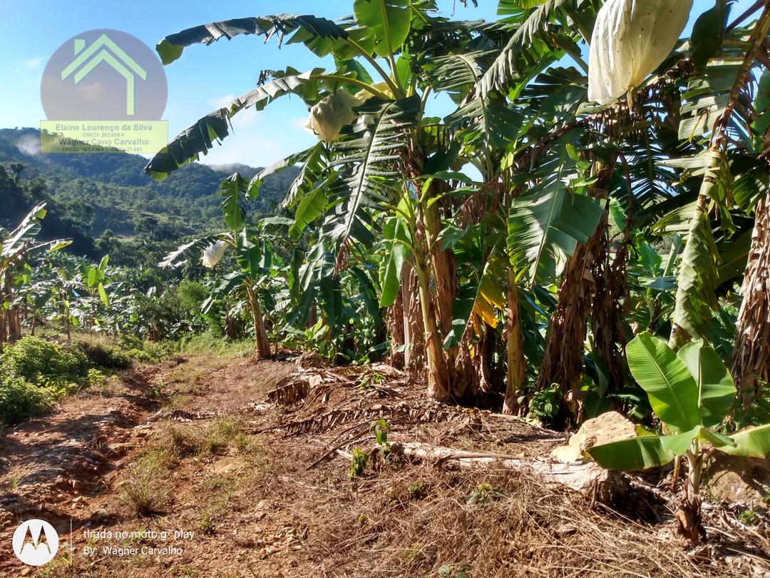 Fazenda à venda com 2 quartos, 8m² - Foto 15