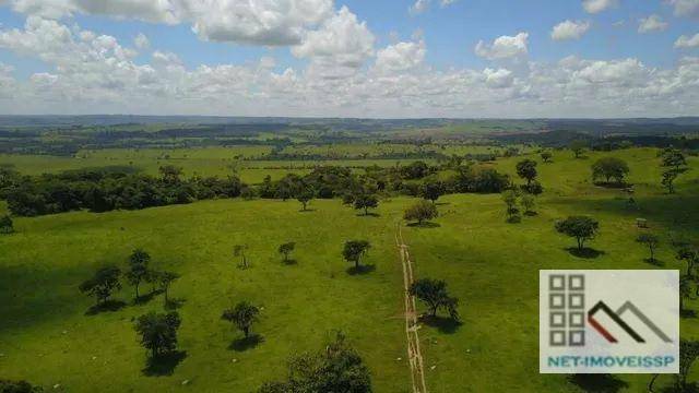 Fazenda à venda com 5 quartos, 500m² - Foto 5