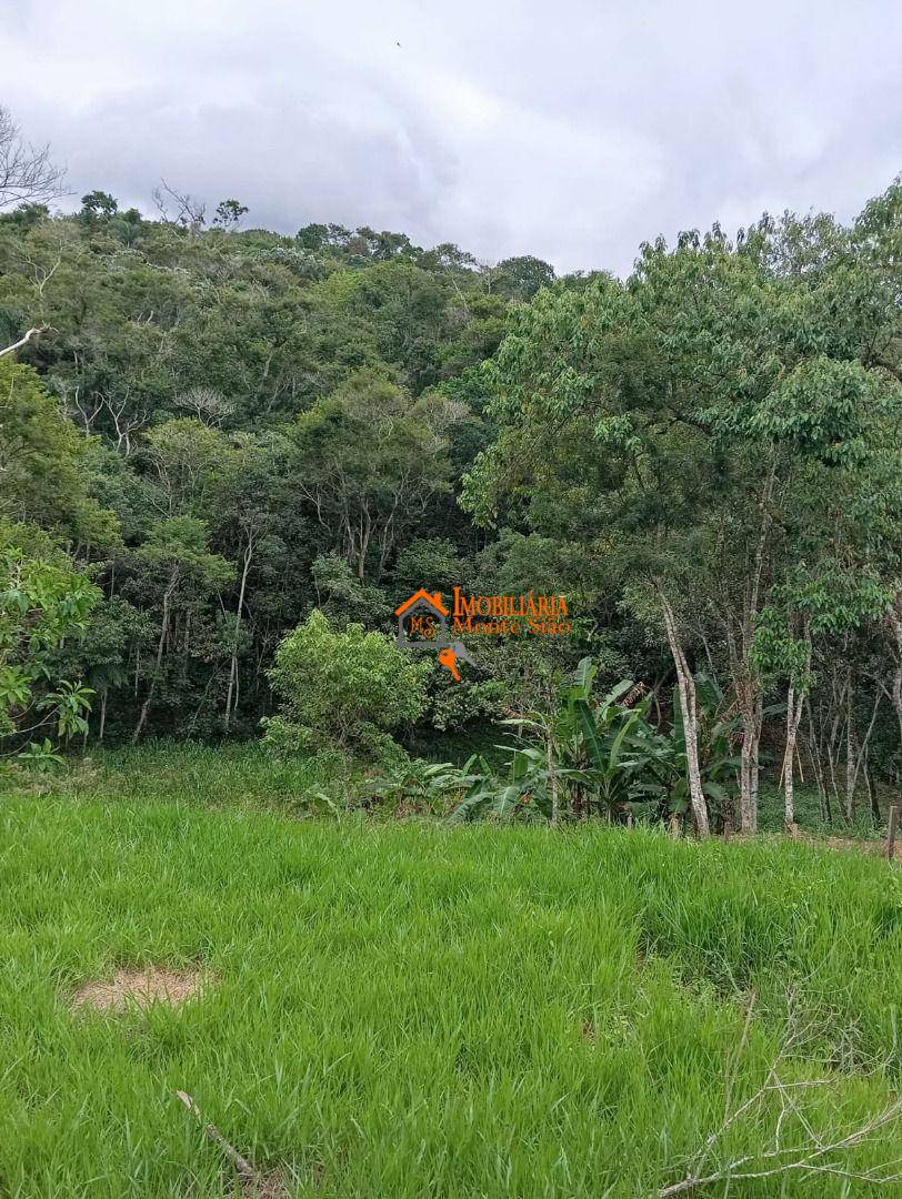 Terreno, 5000 m² - Foto 4