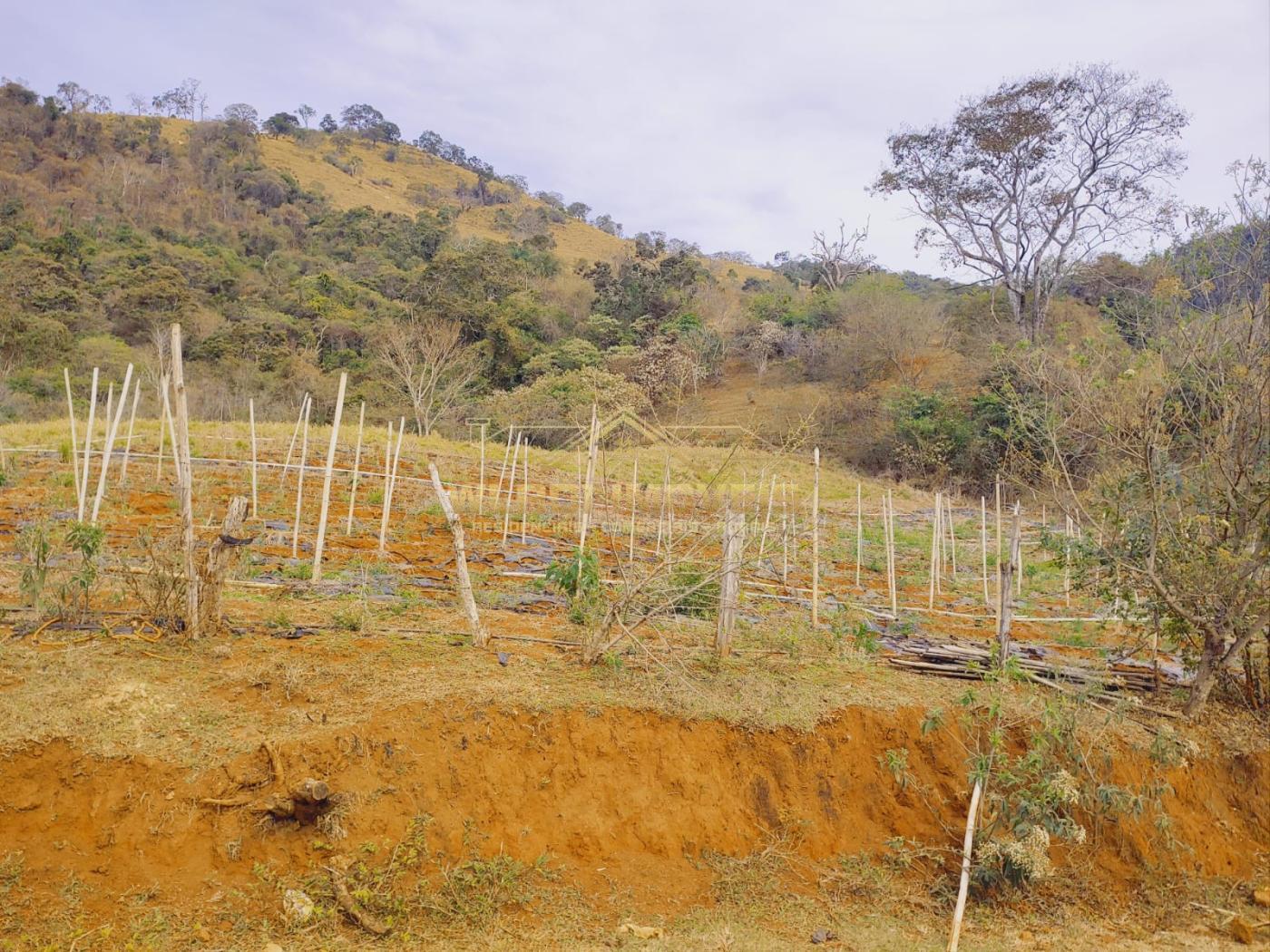 Terreno à venda, 22m² - Foto 4