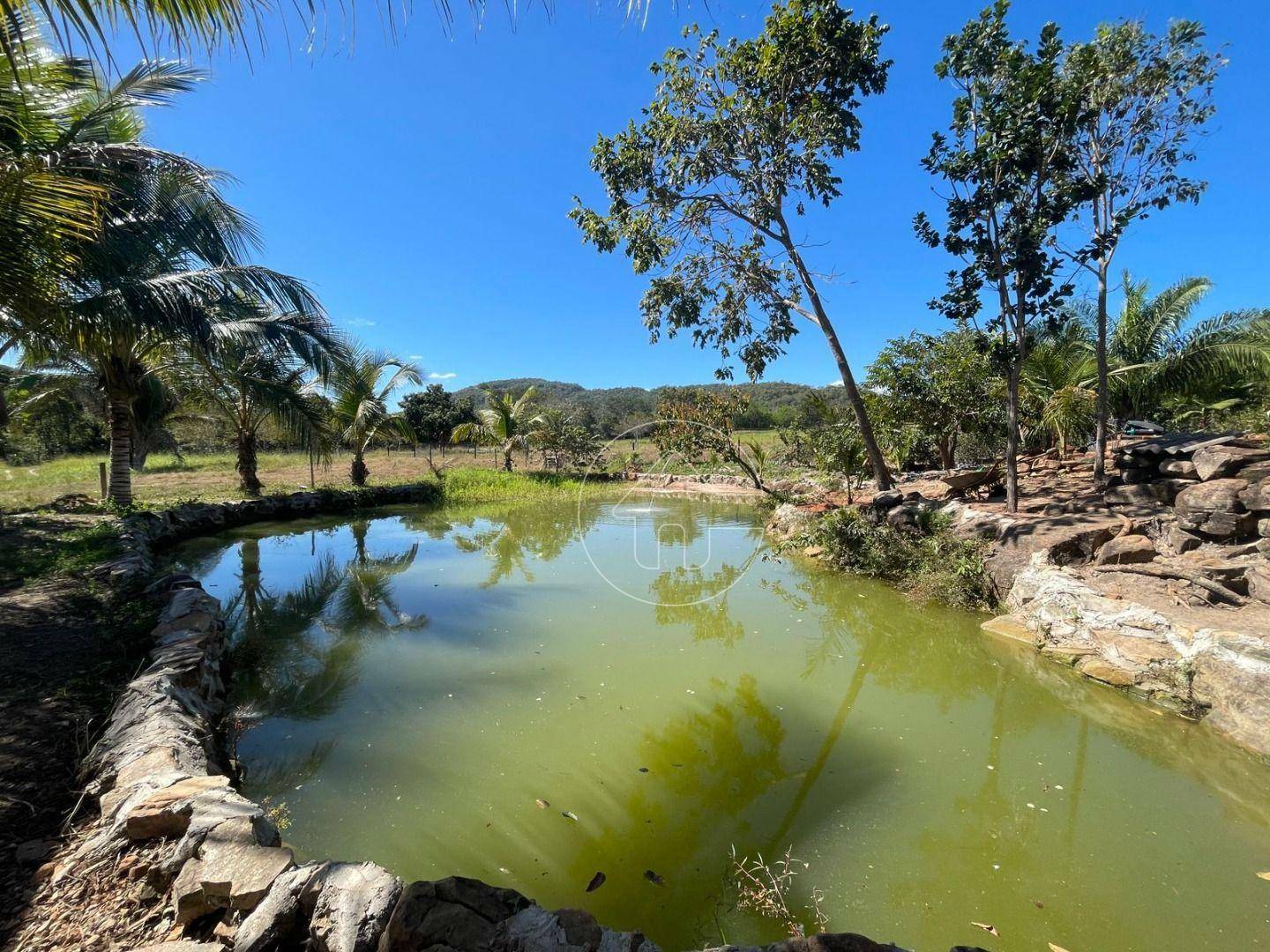 Chácara à venda, 46000M2 - Foto 1