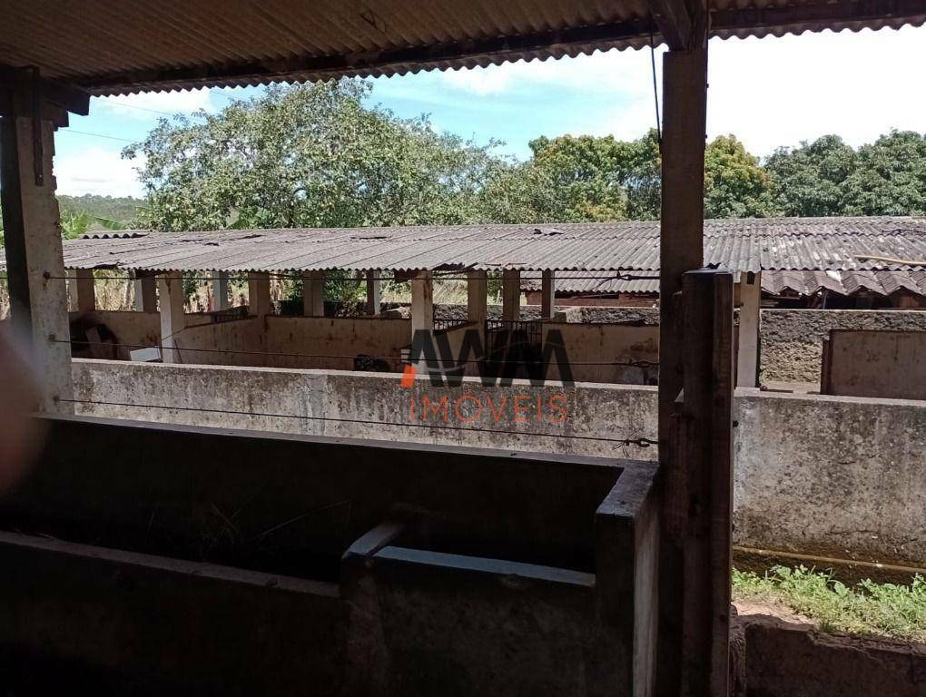 Fazenda à venda com 4 quartos, 820000M2 - Foto 21