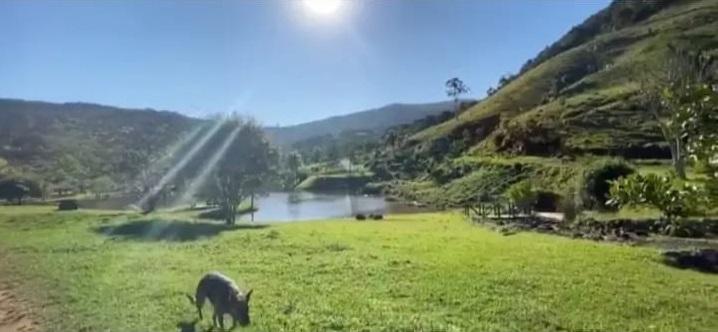 Fazenda à venda, 100m² - Foto 14