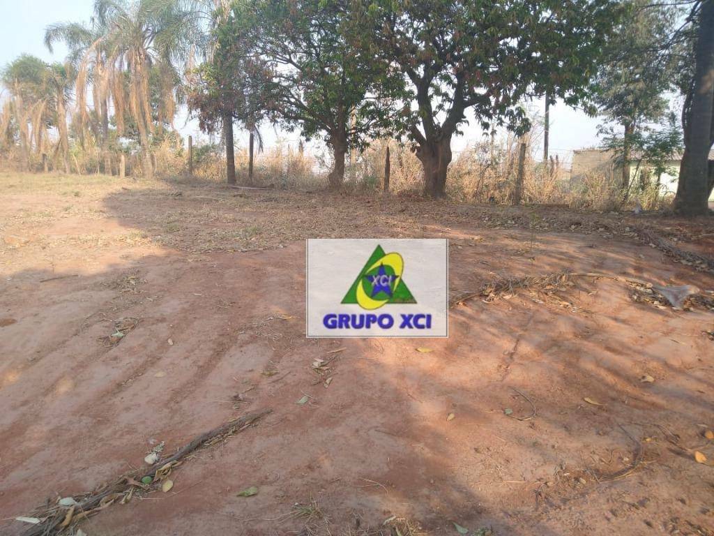 Depósito-Galpão, 4000 m² - Foto 2