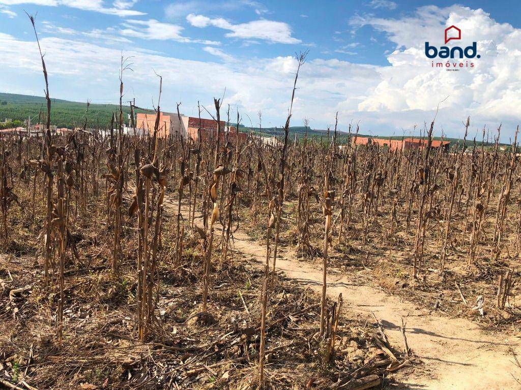 Terreno à venda, 5000M2 - Foto 4