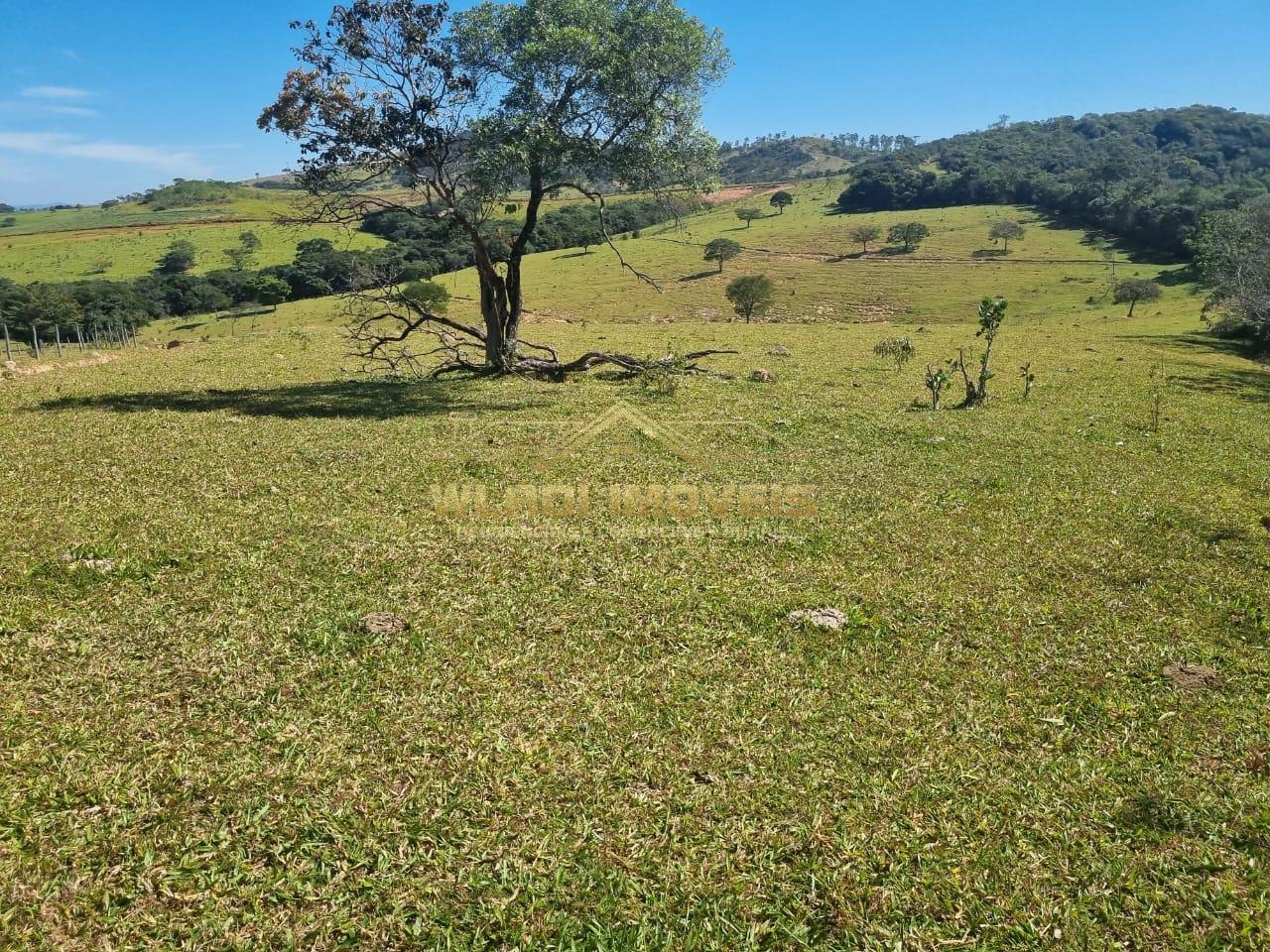 Fazenda à venda, 600m² - Foto 14