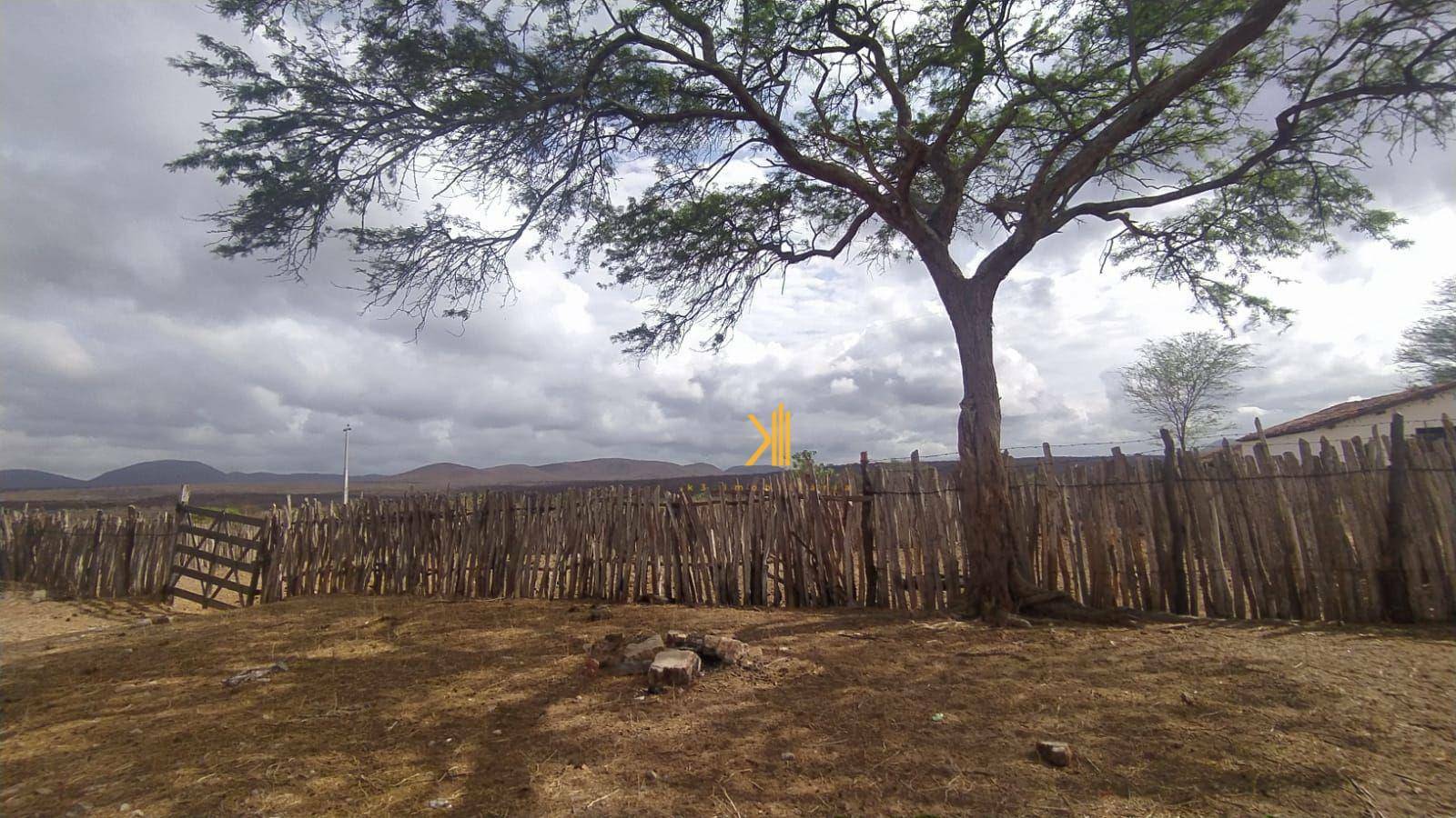 Fazenda-Sítio-Chácara, 2500 hectares - Foto 1