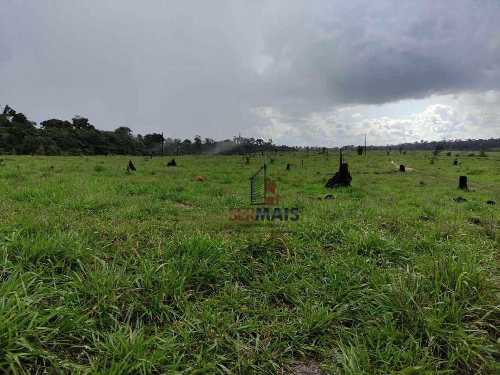 Fazenda à venda com 1 quarto, 2541000M2 - Foto 15