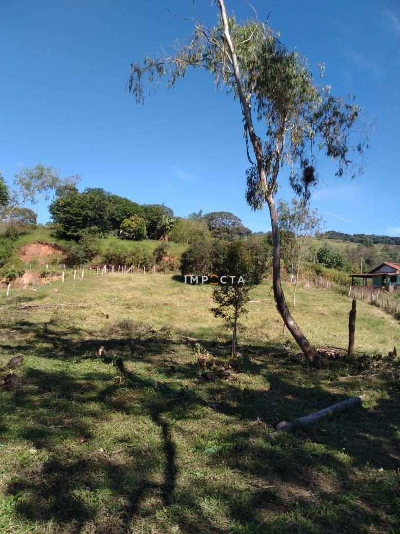 Terreno à venda, 4500M2 - Foto 3