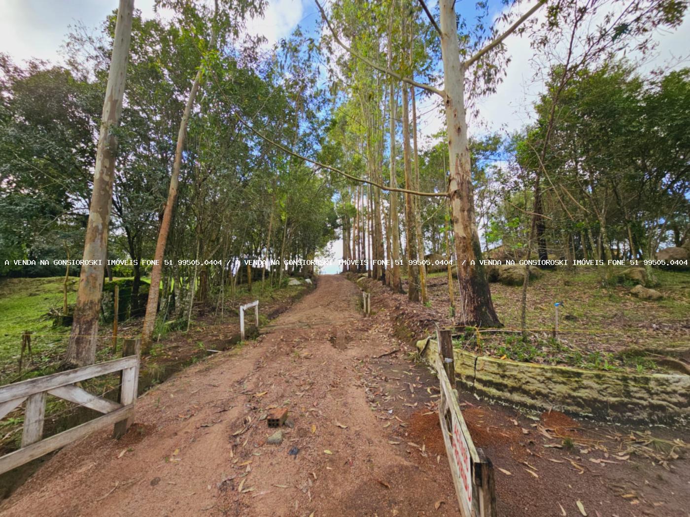 Sítio à venda, 30000m² - Foto 26