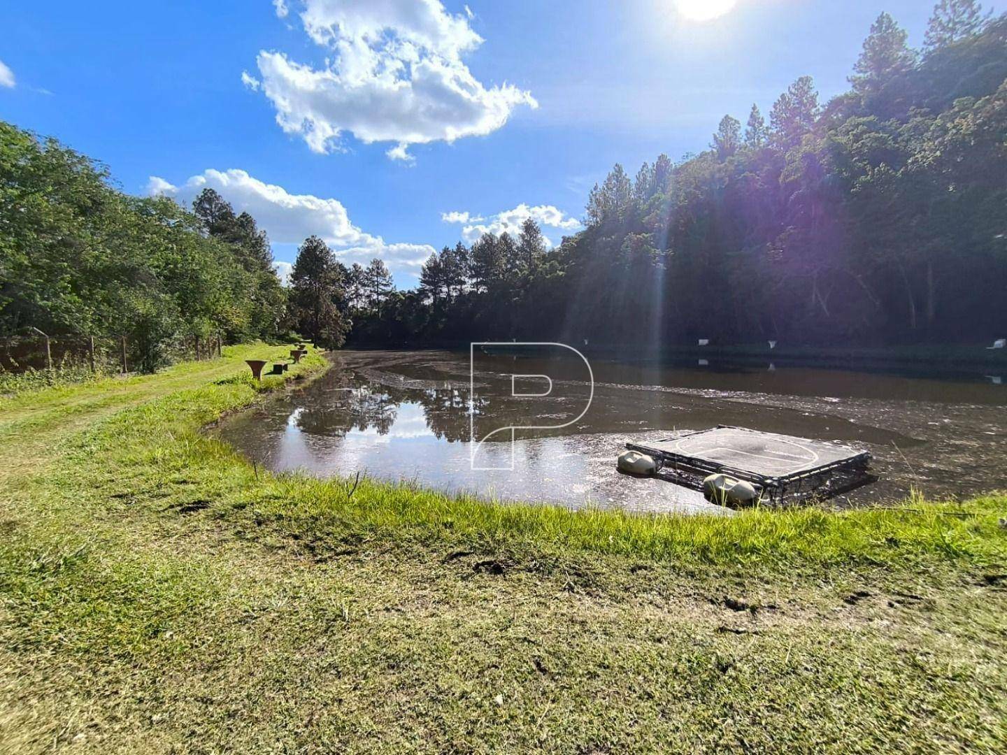 Terreno à venda, 75000M2 - Foto 13