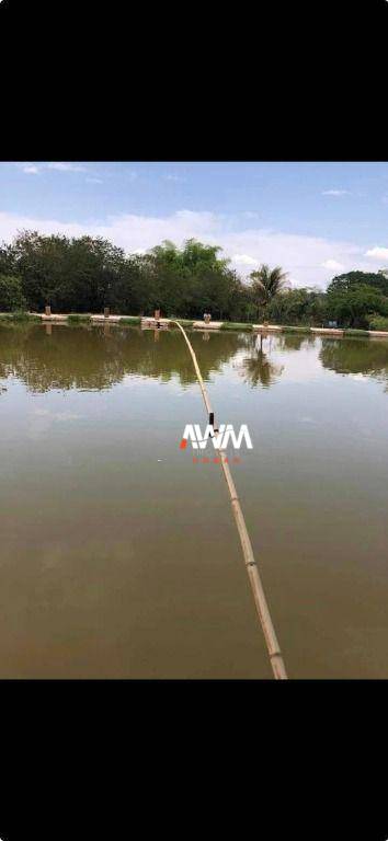 Chácara, 1000 m² - Foto 8