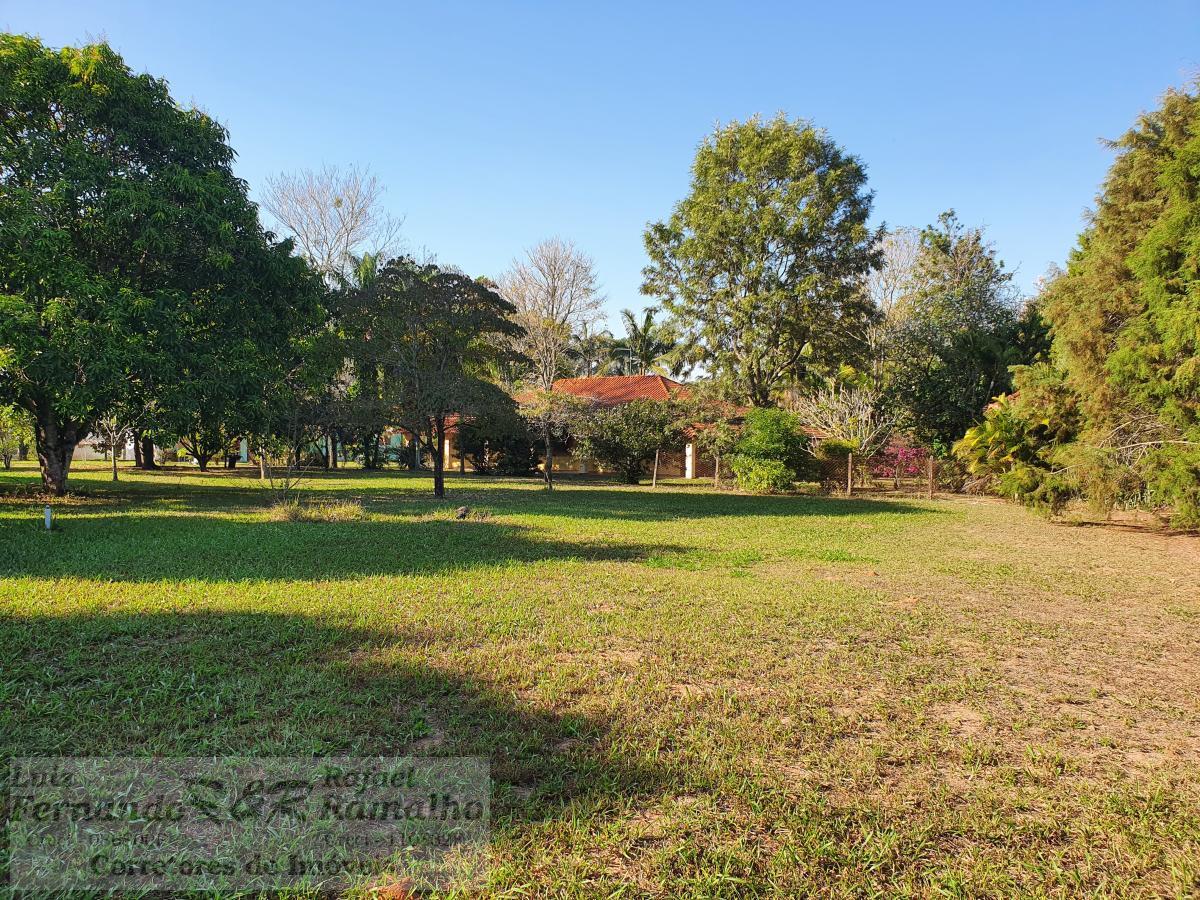 Fazenda à venda com 4 quartos, 5600m² - Foto 61