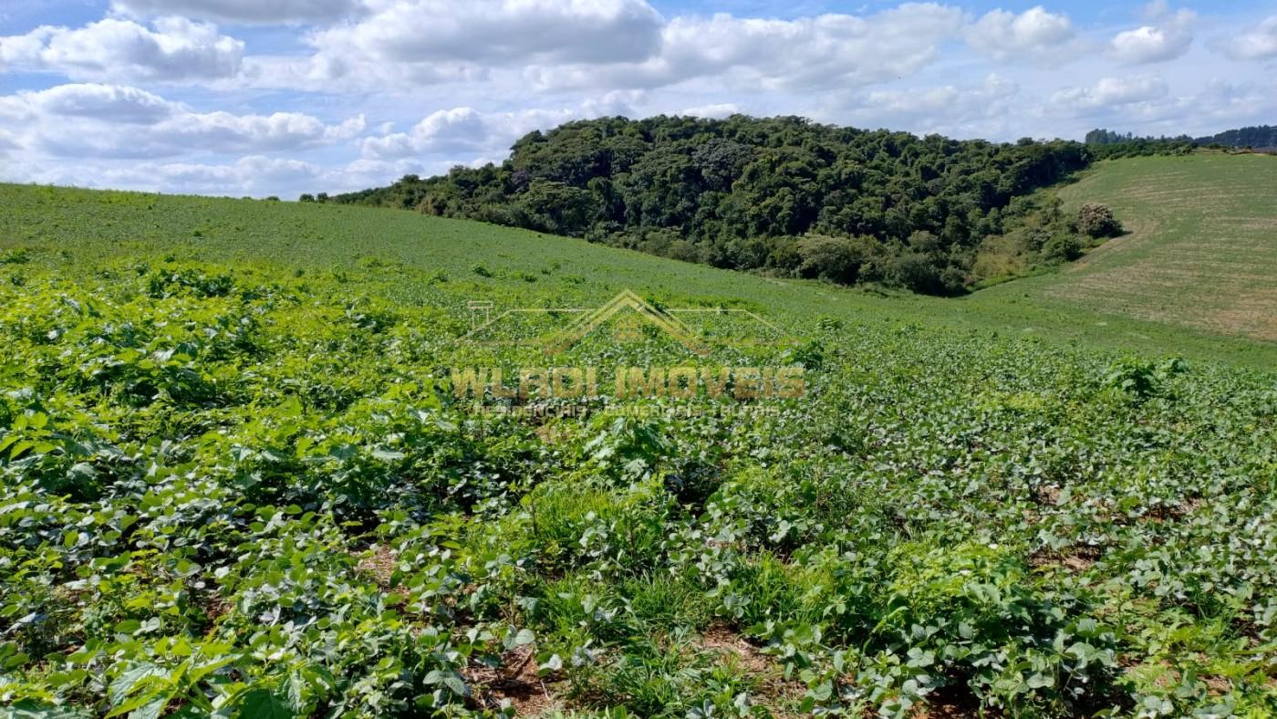 Fazenda à venda, 160m² - Foto 37