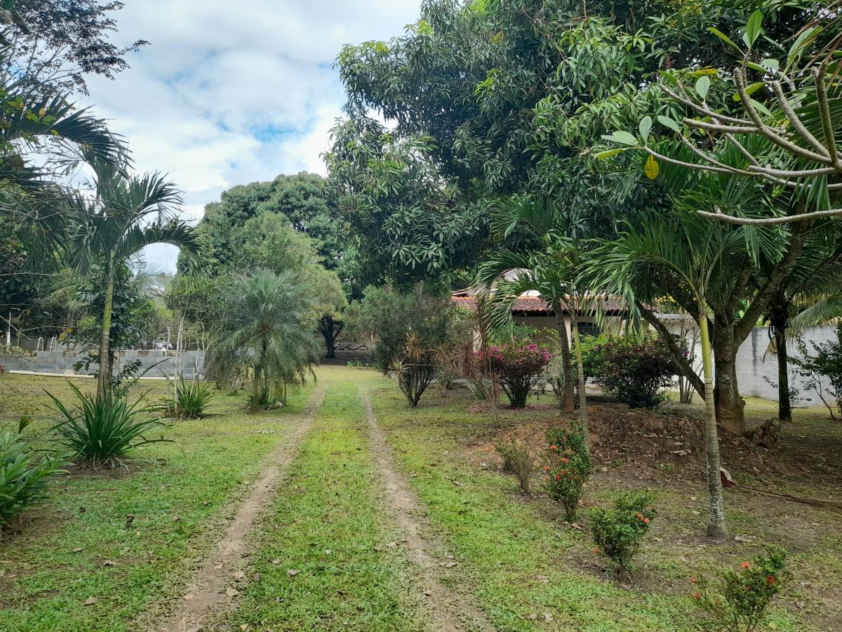 Chácara à venda com 2 quartos, 4000m² - Foto 26