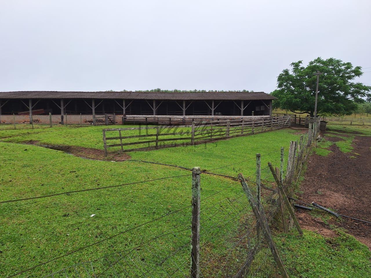 Fazenda à venda, 59m² - Foto 10