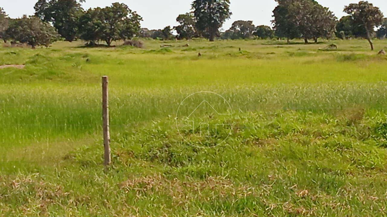 Fazenda à venda, 8800000M2 - Foto 15