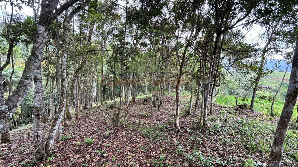 Terreno, 10000 m² - Foto 18