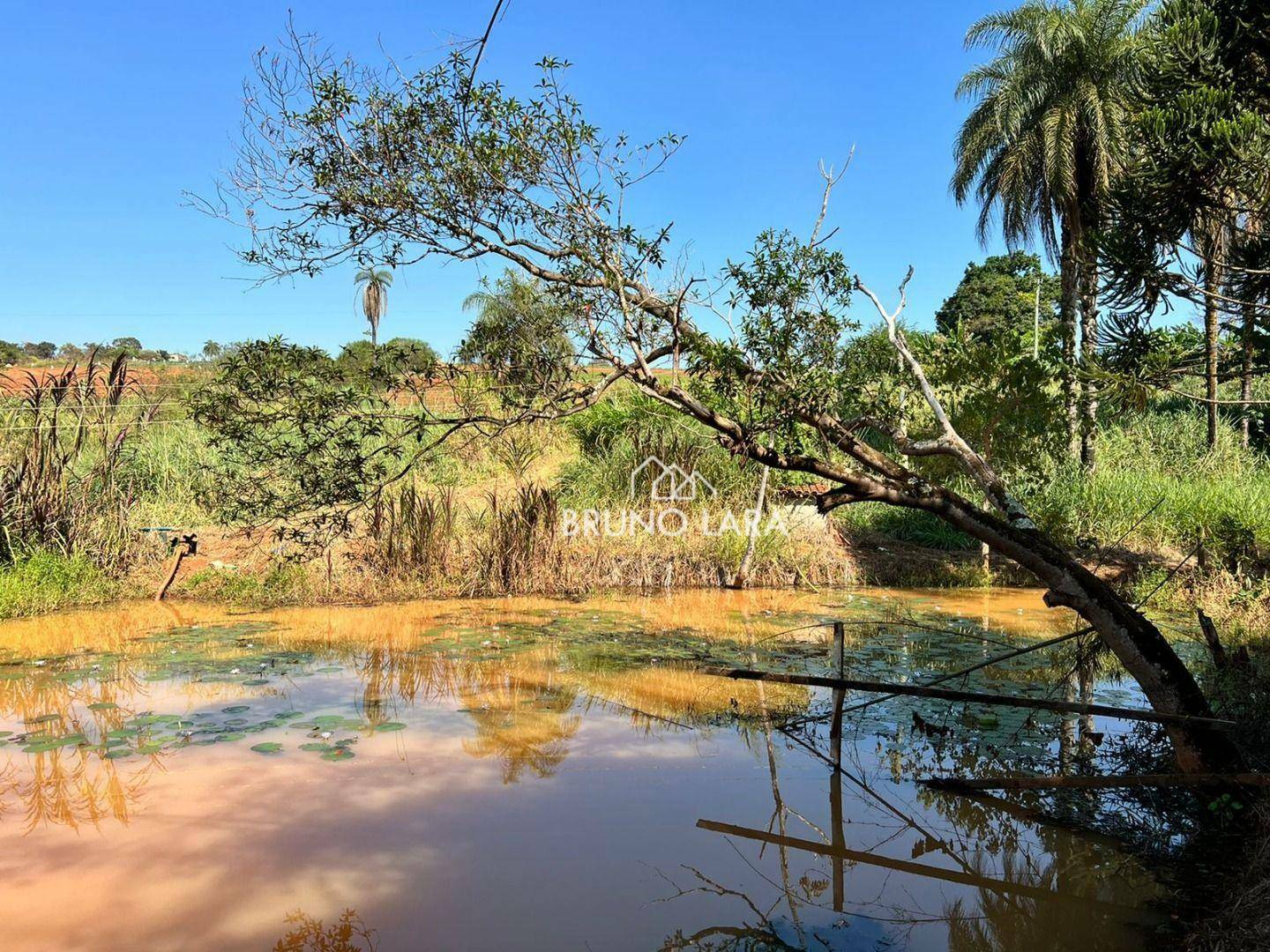 Fazenda à venda com 6 quartos, 1200m² - Foto 21