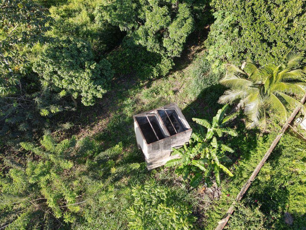 Terreno, 2000 m² - Foto 1