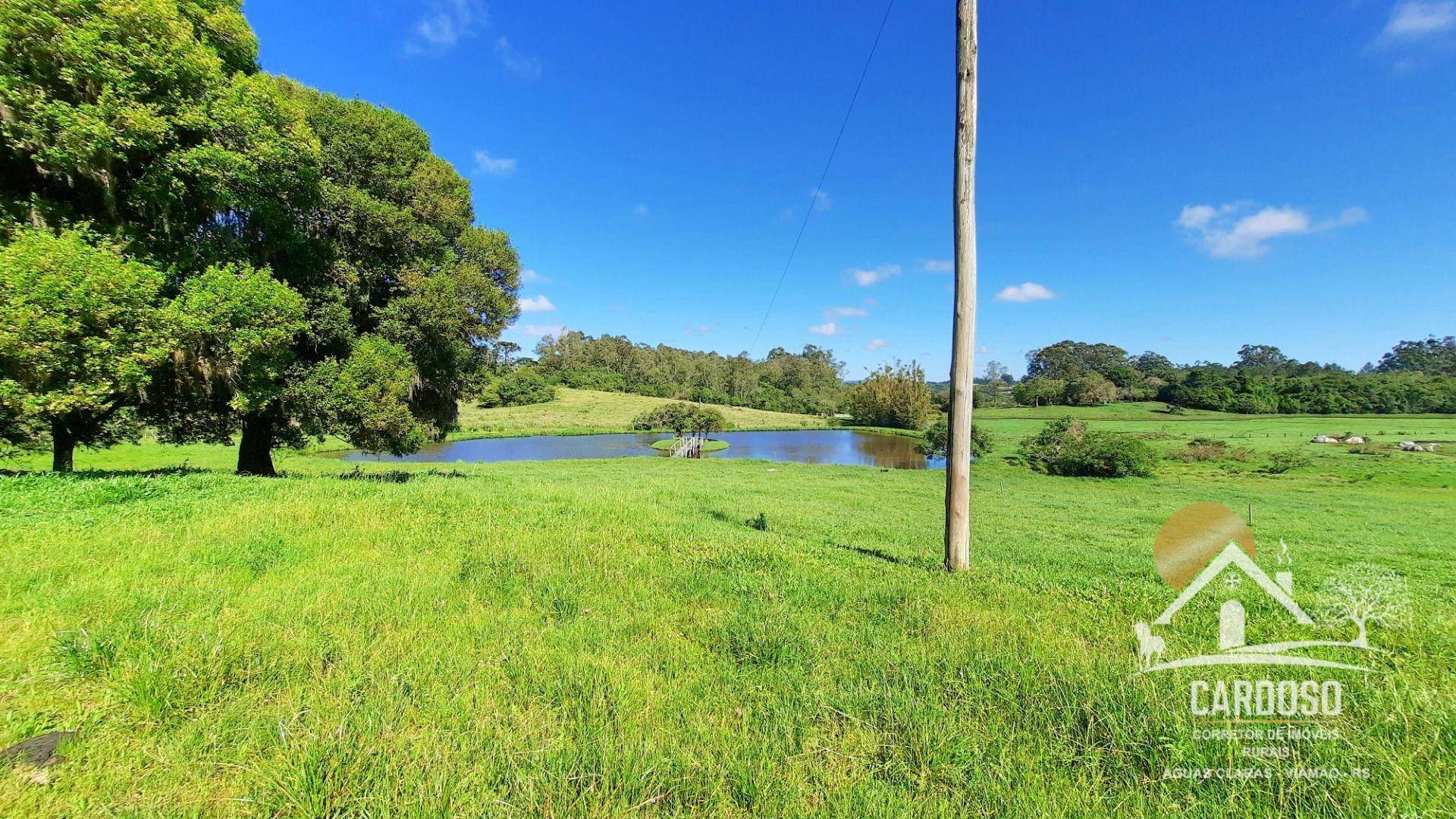 Sítio à venda com 4 quartos, 49000M2 - Foto 10