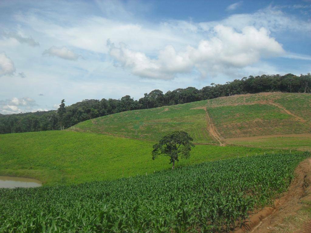 Fazenda à venda com 3 quartos, 120m² - Foto 14