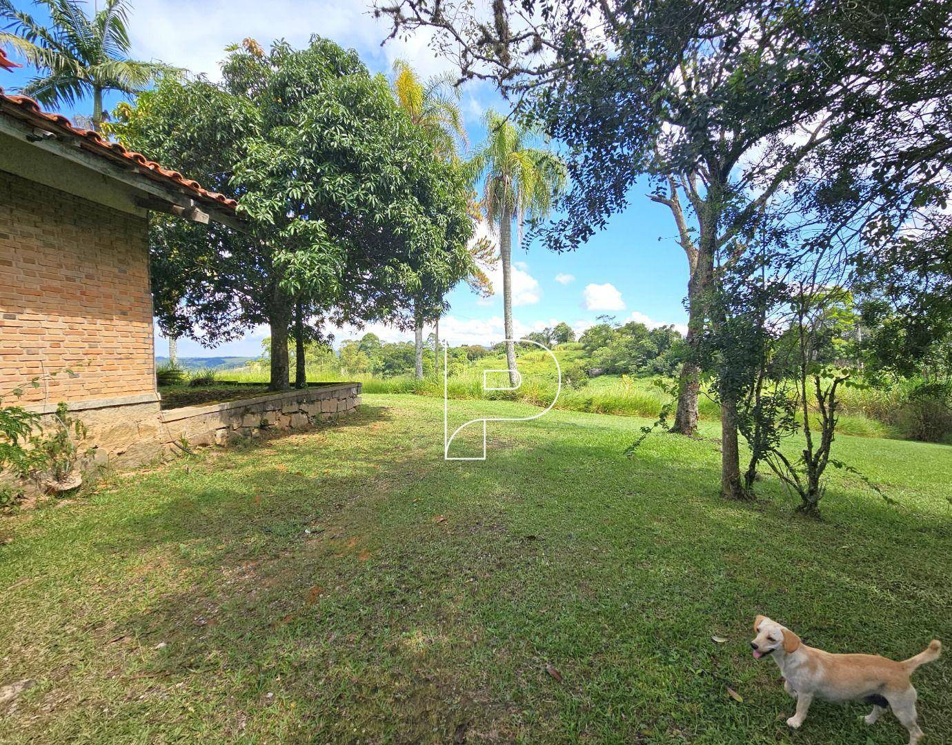 Terreno, 4 hectares - Foto 6