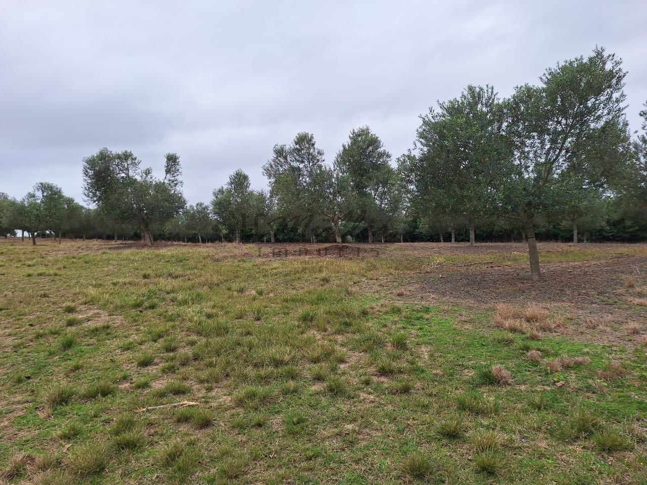 Fazenda à venda, 59m² - Foto 26