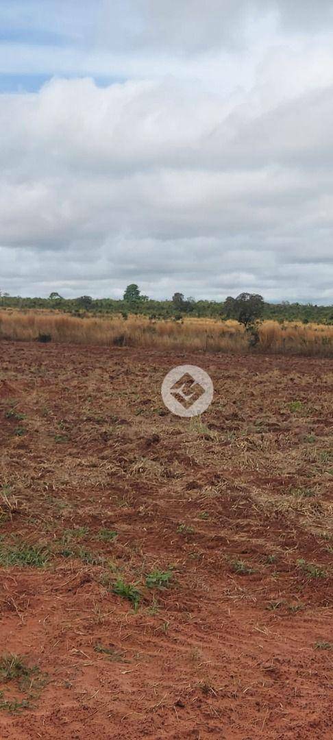 Fazenda à venda, 2500000M2 - Foto 11