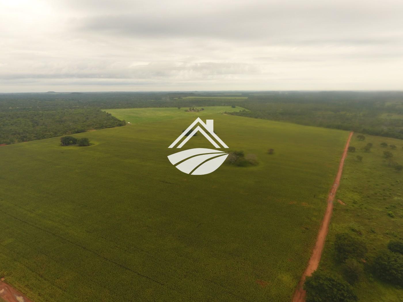 Fazenda à venda, 1m² - Foto 12