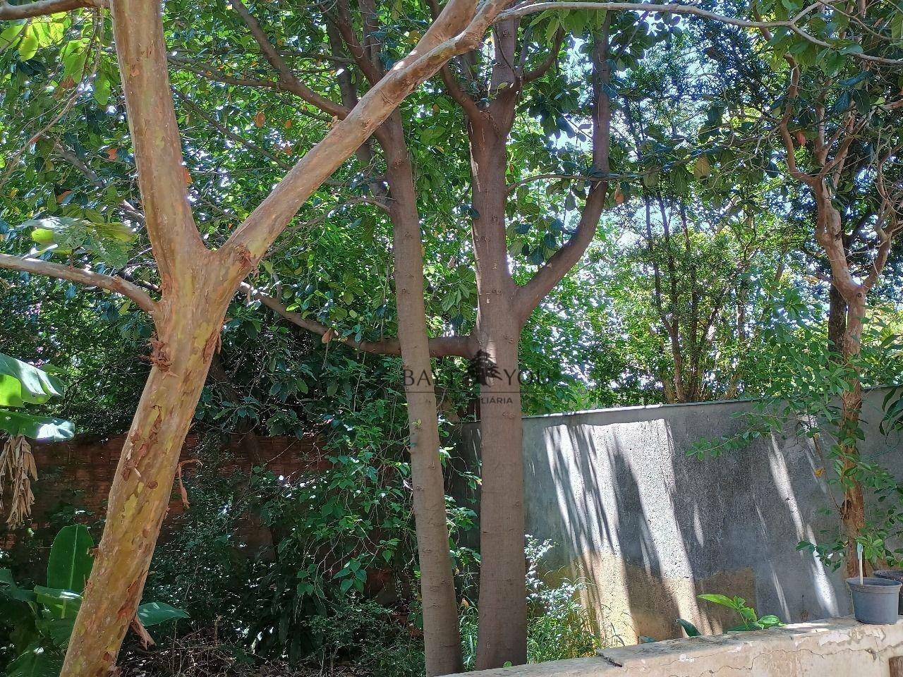 Terreno à venda, 300M2 - Foto 17