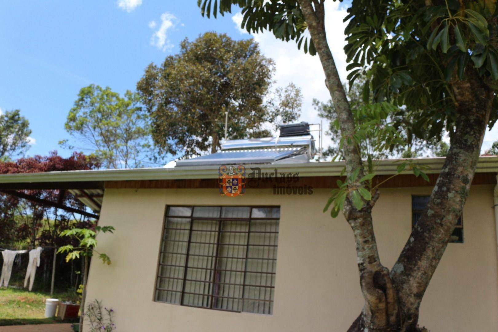 Sítio à venda com 19 quartos, 1859m² - Foto 143