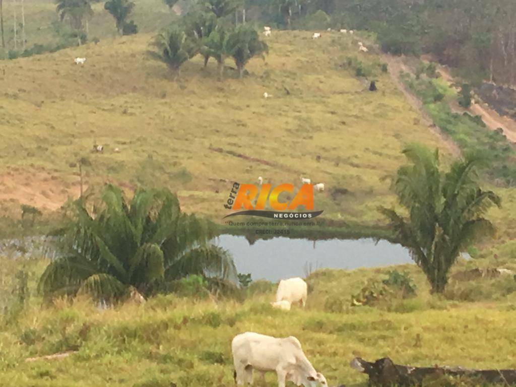 Fazenda à venda, 8143000M2 - Foto 33