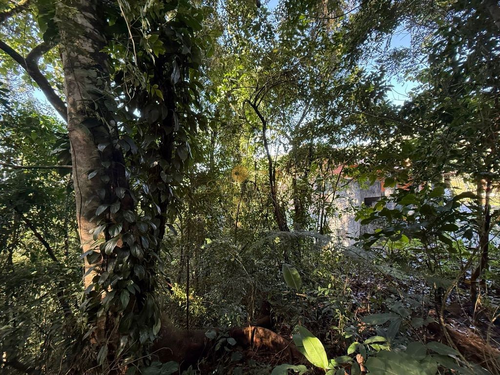Terreno à venda, 405m² - Foto 3