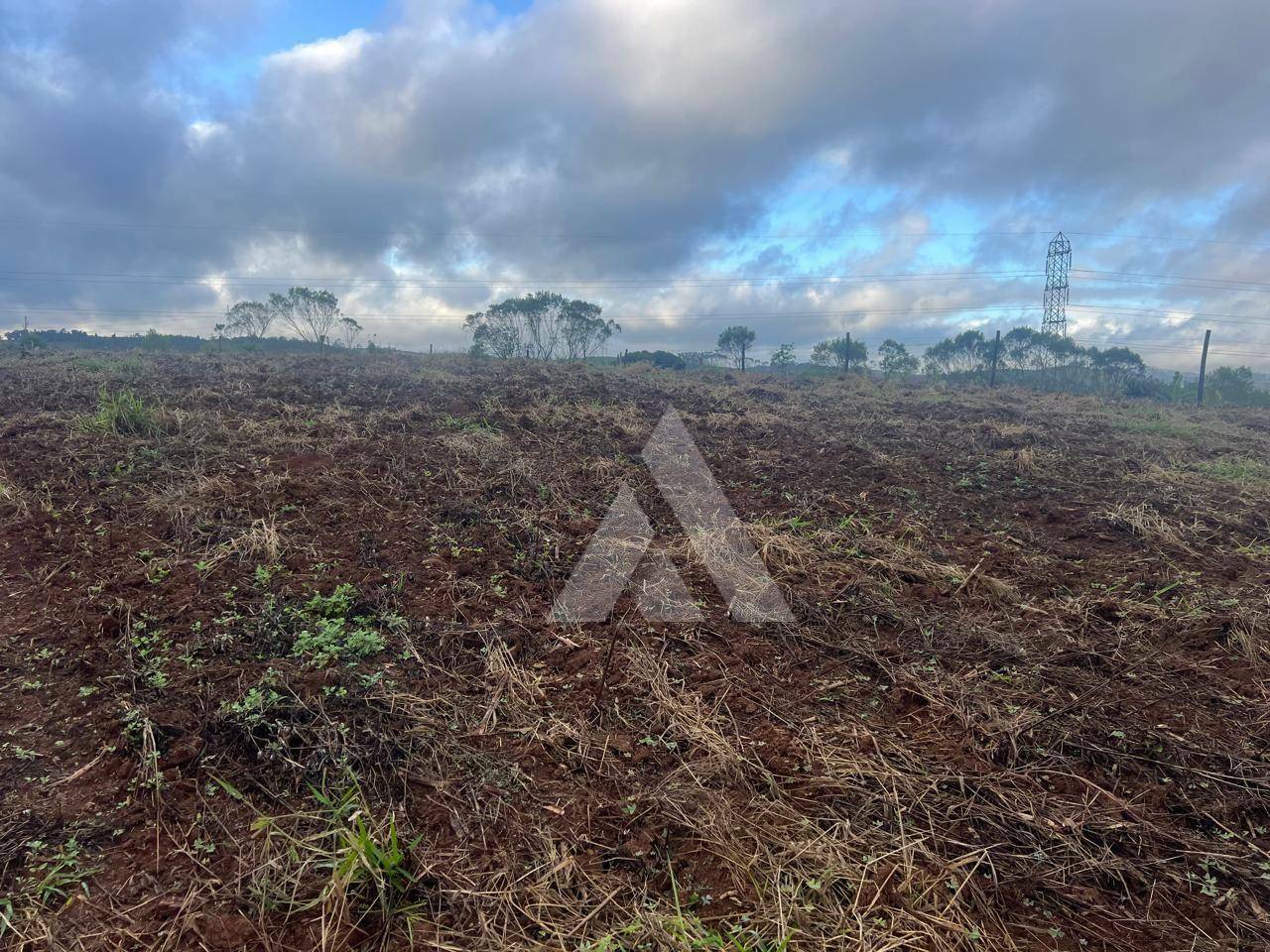 Terreno à venda, 3981M2 - Foto 2