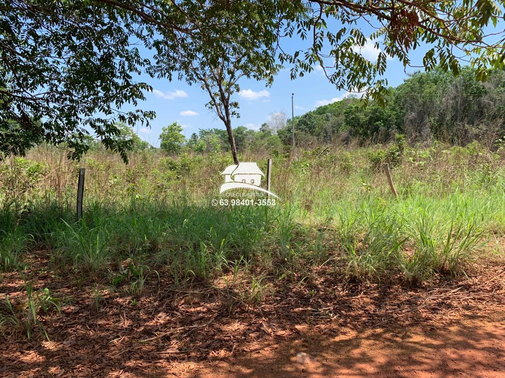 Fazenda à venda com 3 quartos, 120000m² - Foto 9