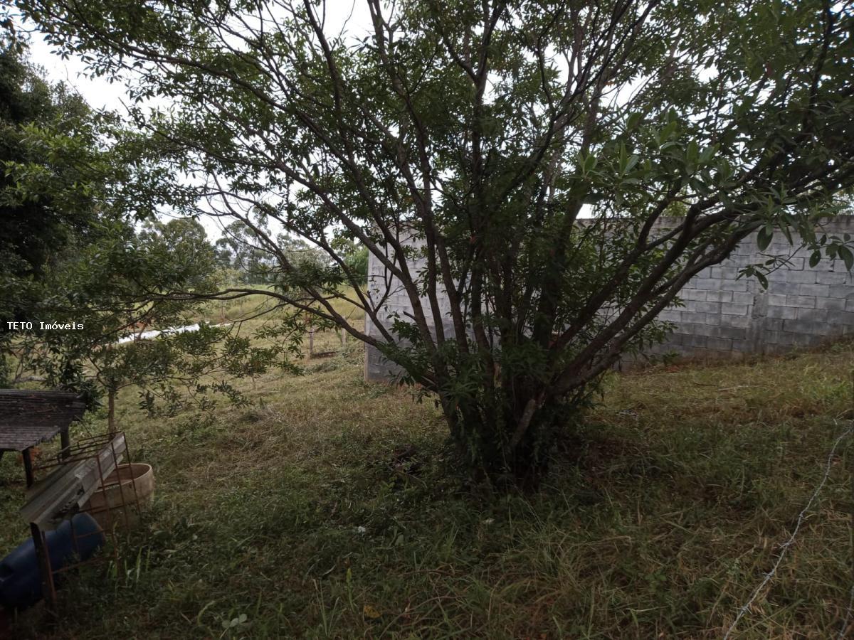 Terreno, 5000 m² - Foto 20