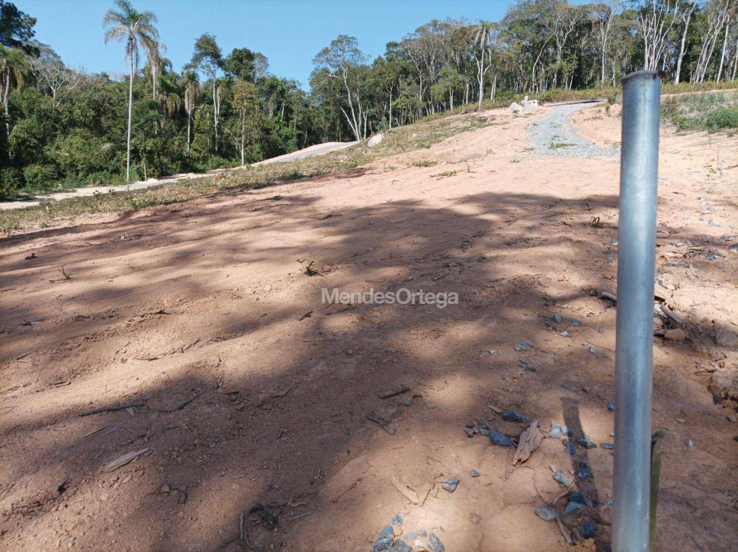 Terreno, 3000 m² - Foto 4