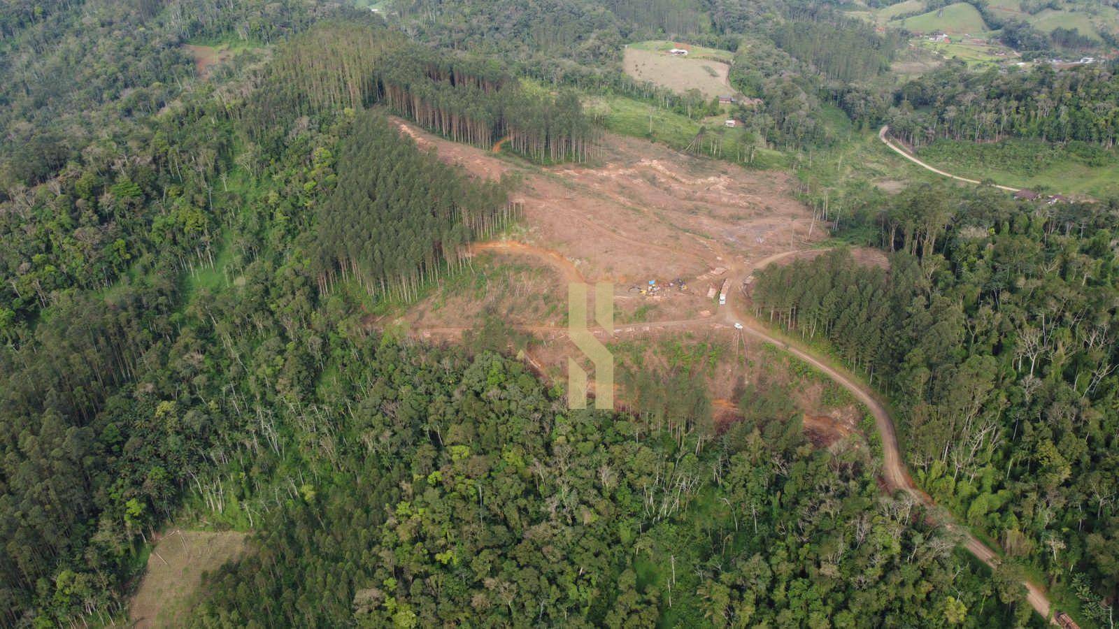 Terreno à venda, 151250M2 - Foto 4